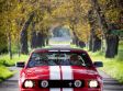 Ford Mustang 4.0 V6 úprava GT